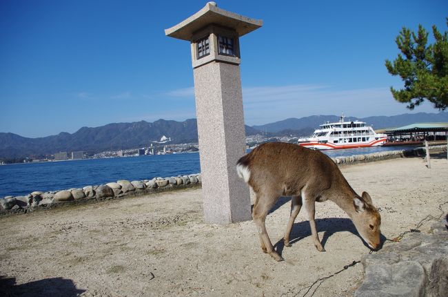 2014年正月休暇 1月3日 青春18切符で行く広島 宮島旅行 宮島 厳島神社 広島県 の旅行記 ブログ By ぱっしょんkさん フォートラベル