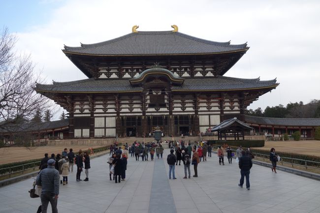 最初に訪れたのが、恒例の東大寺大仏殿。<br />皆さん、初詣は春日大社に行くのか、普段よりも静か。<br /><br />大仏殿は、奈良時代の創建だが、幾度かの戦火に遭い現存するのは江戸時代の再建。<br />