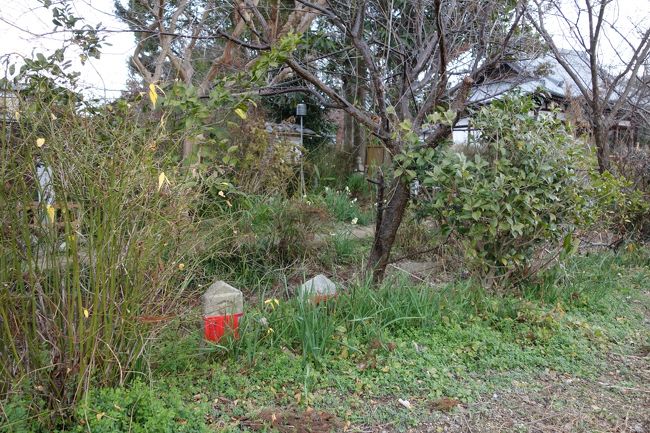 明治に入ってからは、他の寺院同様、廃仏毀釈の影響で荒廃し、無住の時代もあったそうだが、いまやコスモスの寺として人気のお寺。真冬のこの時期は、スイセンが美しい。<br /><br />境内には、ほかにも供養塔がいくつか。