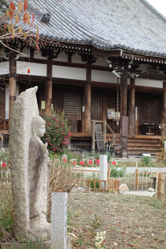 十三重石塔を向いてたたずむ薬師如来