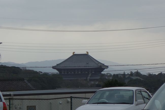 拝観を終え、般若寺バス停から近鉄奈良駅へ。<br /><br />バス停からは東大寺大仏殿が見えた。<br />こんなに離れているのに、火が燃え拡がってしまったなんて・・・。<br />