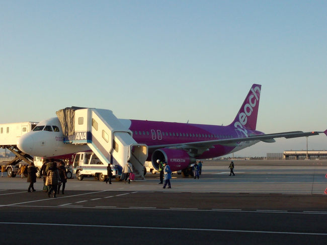 MM001便　7:50発のpeach　<br />peach国際線は初めて。国際線より国内線の搭乗手続きの列がすごかった。今回は少し大きめのリュックなので、搭乗手続きもラクラク。荷物検査終わったら、１つだけあるカフェでトーストセットを食べ、搭乗。他にもご飯セットやうどん等ありました。