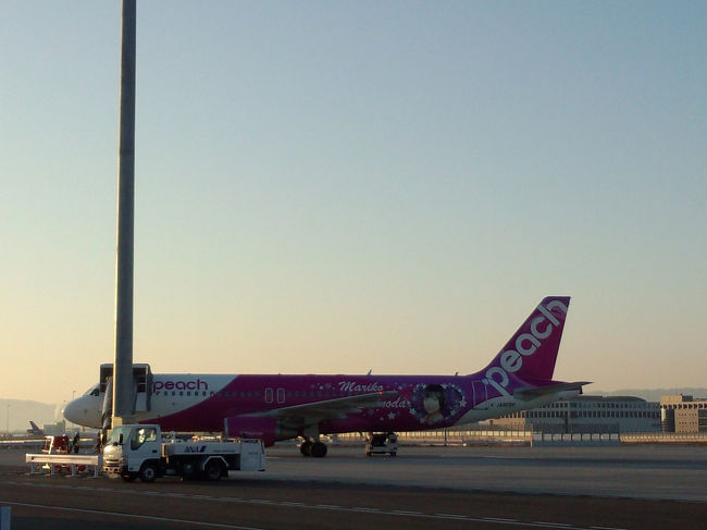 隣の台北行きは、マリコ様でした