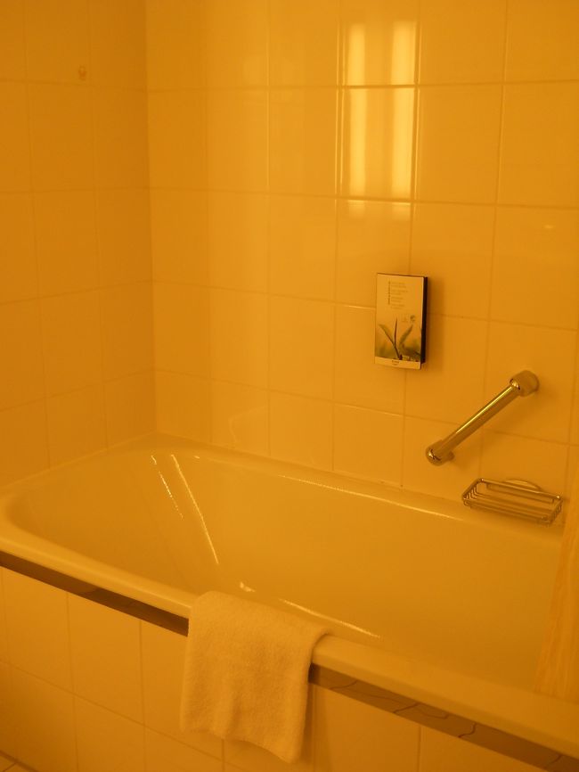 バスタブ付きだからここに宿泊。<br /><br />アメニティは石鹸のみ。