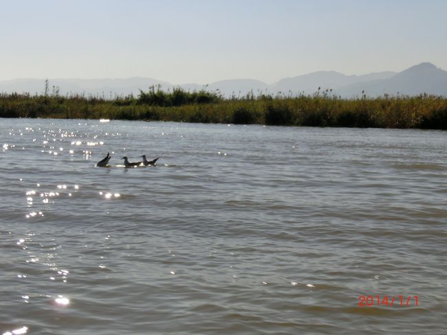 微笑ましい光景。