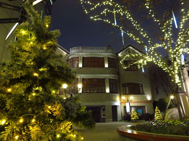 クリスマスっぽい感じで撮ってみました。