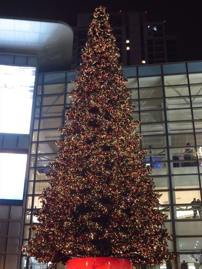 大きなクリスマスツリー。<br /><br />そして人だかり。<br /><br />白いクリスマスツリーが…