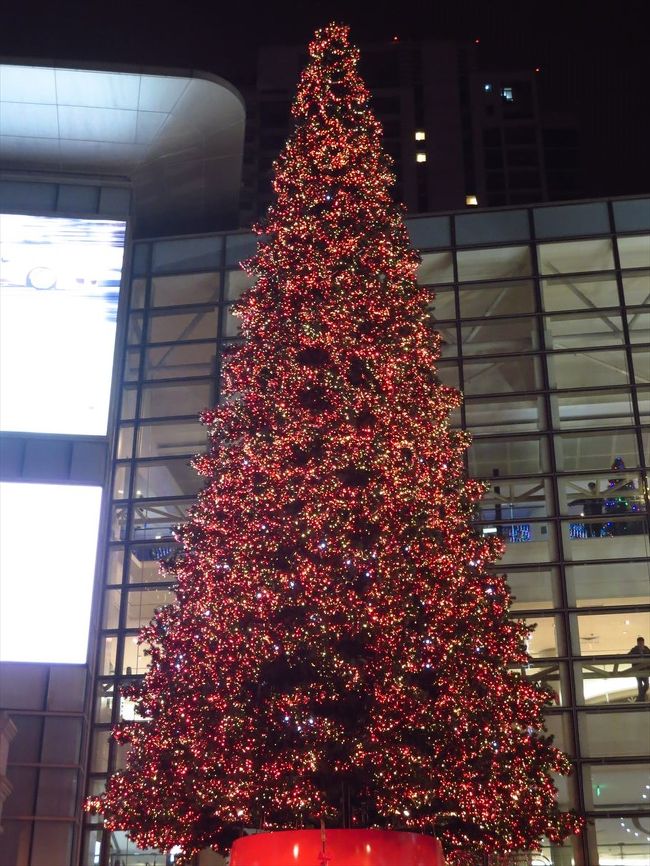 赤くなるんです！<br /><br />…その、しかけとは？？？