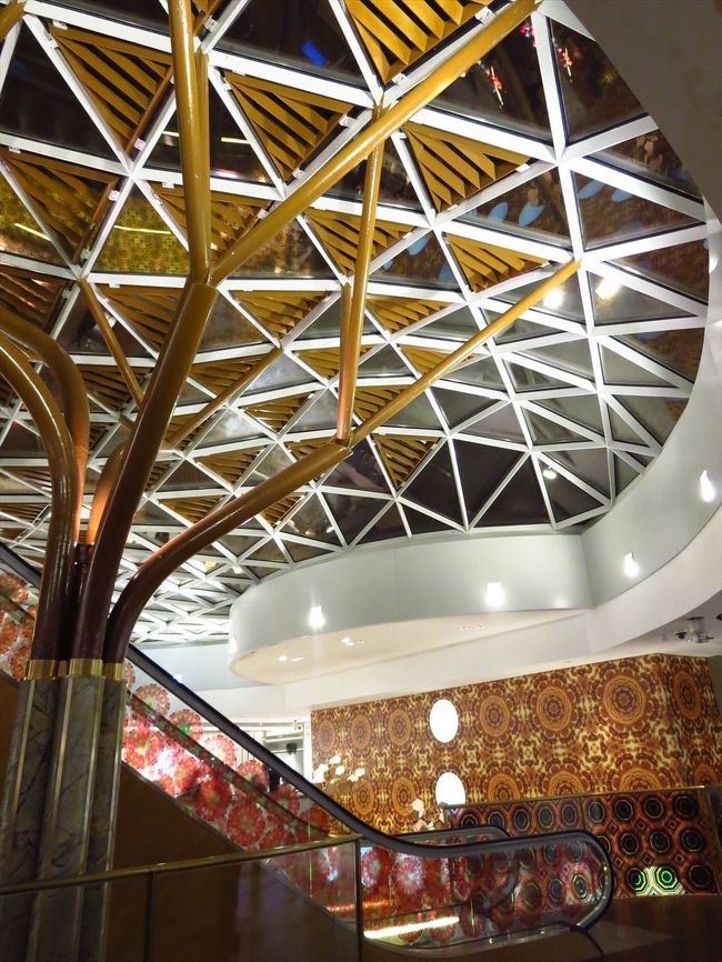 大きな木の下で〜★