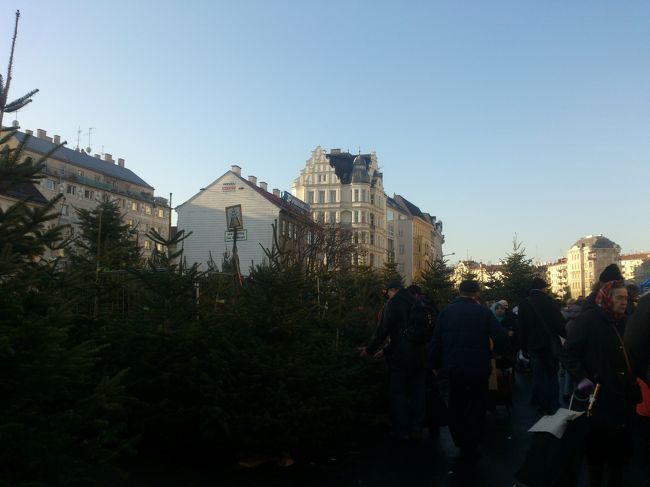 まず最初に行ったのは地球の歩き方に載っていた蚤の市。<br />土曜日のみの開催だそうで、蚤の市大好きな私にとってはタイミングが合ってラッキー。<br />地下鉄のゲッテンブリュッケンガッセ駅を出るとすぐに市が広がっています。<br />この時期は本物のクリスマスツリーもたくさん並んでいました。