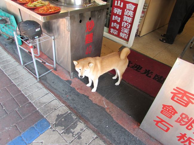 人懐っこい犬でした。