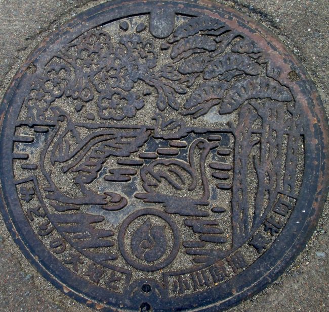 青森東北町：白鳥