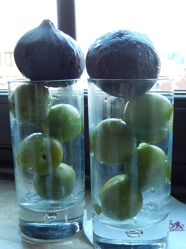 ホテルに帰って、クラウディアといちぢく！満足しました♪