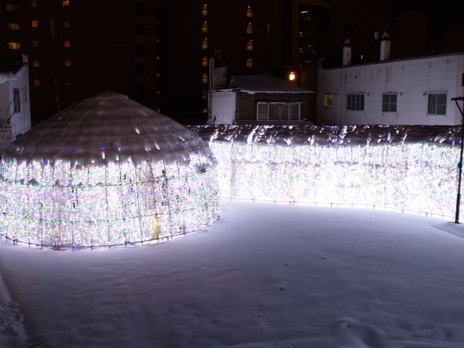 出口から見た全体像。坂があってかなり滑っていた。近所の泊まり客が皆さん来ていた。