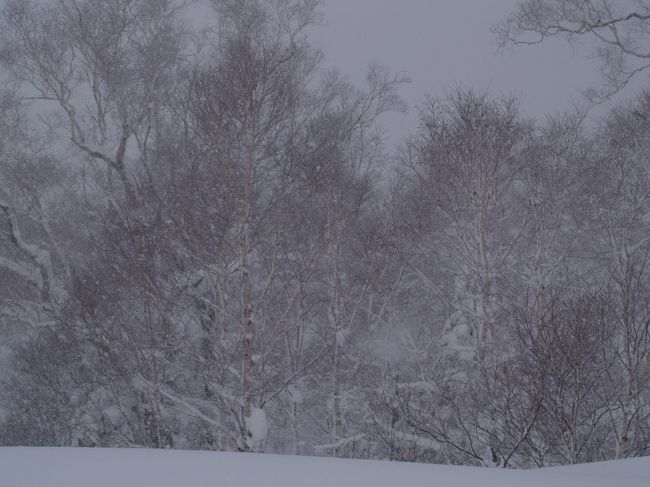 送迎バスで戻ったが、途中の中山峠では雪だった。後ろの方は東京から来た人だった。お正月に冬の北海道に来るとは珍しい。宿は良くリサーチして決めたと言っていたが、コストパーフォマンスは良いと思う。1人2万円を切っていてあの内容なら満足であった。のんびりと地元の観光地で過ごすのも良い物だ。13時ごろ札幌駅に着いた。