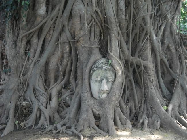 アユタヤ：ワット・マハータート<br />写真を撮るとき、仏像側に立ったまま背を向けてはいけないとは？<br />その時、近くにいた日本人団体のガイドが、座っての写真はOKと言っていた。