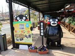 道の駅にはくまモン♪
