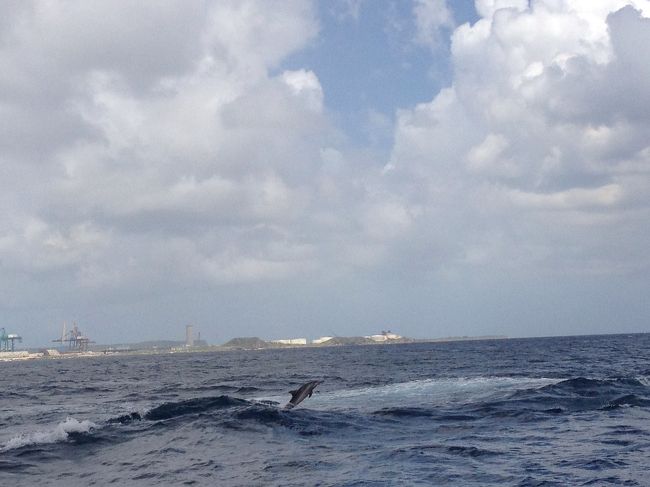 なかなかイルカに会えず、<br />やっとイルカを見れたときは<br />嬉しかった〜♪<br />みんなで盛り上がりました！