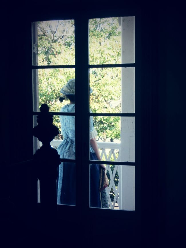 ウォーカー邸の中から外の友人撮影