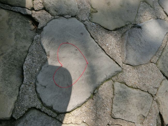 グラバー園は３箇所ハートの石が埋め込まれています♪<br />乙女にかえって探してみました(*^_^*)<br />上の赤い糸は「縁結びの糸」です。売ってます(笑)<br />それを石の上にハート型にしてのせてみました。<br />あ〜イタイイタイ…(-_-)<br /><br />というか若い女性が集まって写真待ちするのでわかりやすいです(笑)