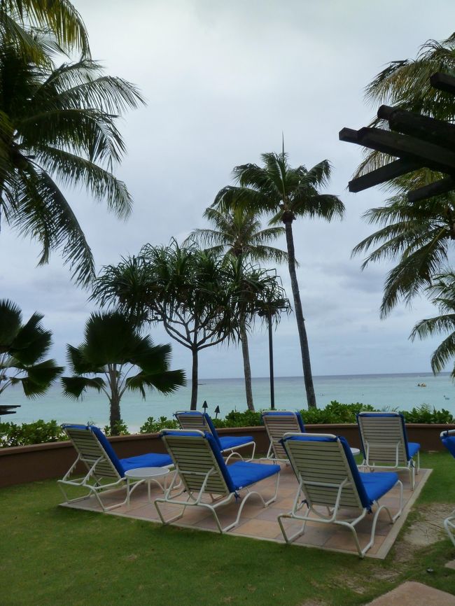 お迎えがくるまでのんびり最後の時間を過ごしました。