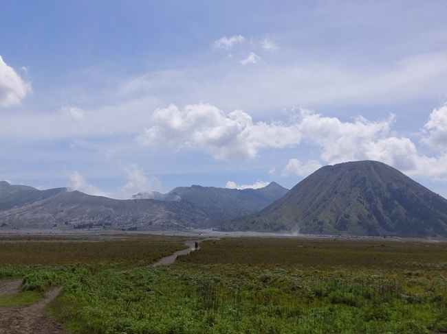 宿探しが一苦労だった。この時期、インドネシア人の観光客でいっぱいだったため、ガイドブックに載っているスタンダード/エコノミールームはどこも満室。ホームスティの看板もいくつかあった。結局、チェマラ・インダーのスタンダードルームに宿泊。<br /><br />ホテル前からの外輪山のけもの道を下った。そこからブロモ山を目指して、ひたすら歩いた。他に歩いている人はいなかった。2人だけだった。ブロモ山近くになると地面一面に火山灰が覆っているため、靴の中に灰(砂)が入り込んだ。風が強く、日差しも強い。<br /><br />写真：外輪山のけもの道を下った直ぐのところからブロモ山とBatok山を撮影