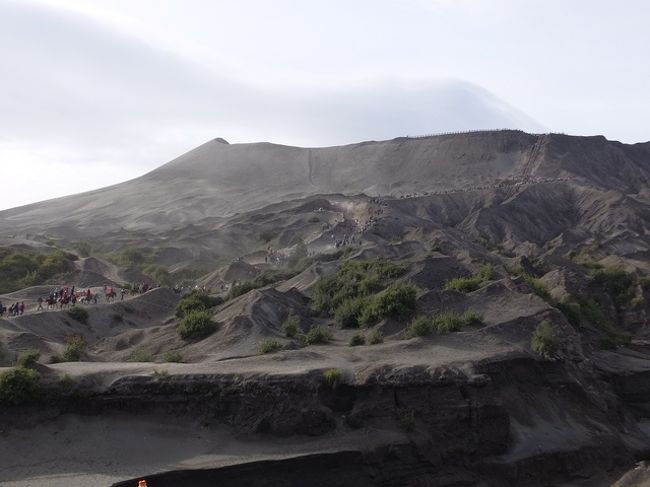 昨日、ブロモ山を登ったので屋台の後ろ側の丘に登ってみると、けもの道がバトック山の頂上へつながっているようだった。頂上に白い旗があり、けもの道のところどころにも白い旗が立てられていた。時間がないのでジープへ戻る。<br /><br />バンで8:30am頃→11amプロボリンゴの旅行会社前まで行き、そこでジョグジャカルタ行きのバスを待つ。他の10人程の外国人はバリ島のバスに乗った。ホテルでの情報はエアコン付バスと言っていたので、元々旅行会社が運営しているジョグジャカルタ行きバスなんてなかったのではないかと疑った。しかし、プロボリンゴバスターミナルからジョグジャカルタ行き夜行バス(7pm,8pm,9pm,12am：約Rp.80000)はある。<br />ここで一人のシンガポール人も一緒に旅行することになった。11:30am発だったが1:15pm発エアコンなしのバンで3人のみの乗客を乗せ、ジョグジャカルタへ向かった。途中、土砂降りの雨と各町での交通渋滞で真夜中着となった。<br /><br />3人でジョグジャカルタ駅前の宿エリアを2時間近く探し回っても安い又は手頃な宿が満室だった。インドネシア人の学生から声を掛けられて「僕たちも探しているけど、すべて満室で見つからない」。最終的に高いホテルに泊まることにした。寝るころには既に3am近かった。<br /><br />