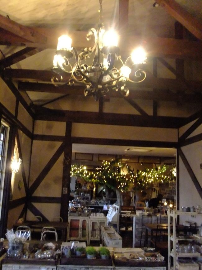 天井にも　ほらきれいでしょ