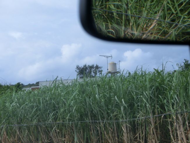 でも行ったおかげでこんな素敵な景色も！<br />「さとうきび畑」です(*^_^*)<br /><br />もうご飯はあきらめて高速をすっとばしていきます　
