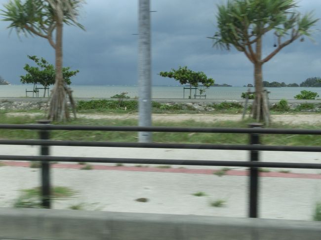 屋嘉インターで降りて次は「景勝地・万座毛」へ♪<br />ドキドキドキドキ…