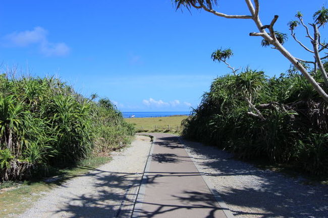 晴れていればこんな素晴らしい風景が待っているようです<br />※画像はお借りしました