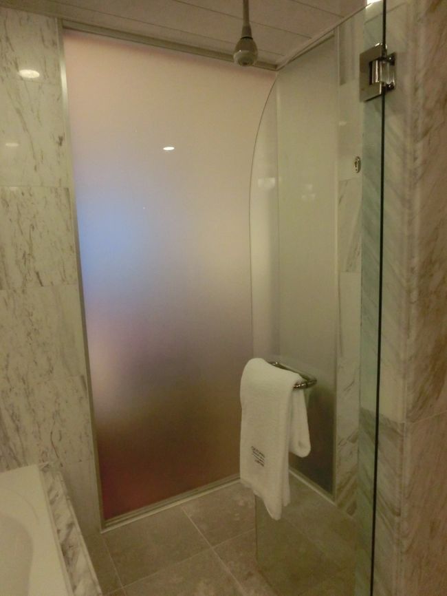 シャワーブース☆<br />バスとシャワー分かれているのは得点高い☆<br />清潔度も満点でした！<br /><br />ただこの奥のすりガラス。<br />部屋からシルエットが結構みえるようです。<br />ご注意を(笑)