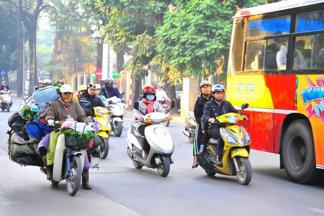 野菜の超過積載。