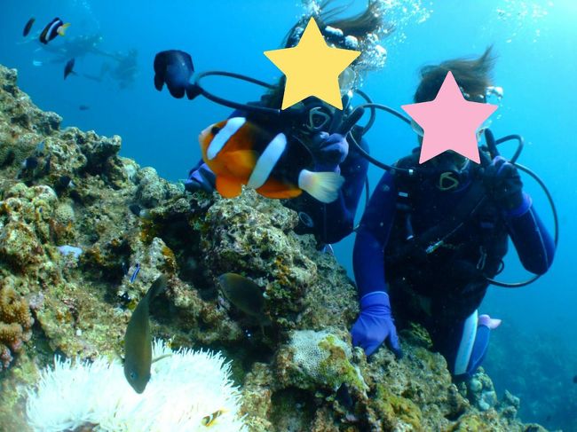 ニモの仲間♪<br />可愛いーーーーーーーー(*^^)v