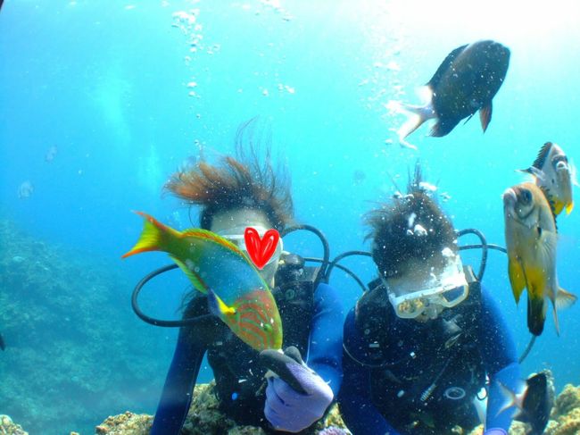 餌づけが良いとは思いませんが<br />もらったのでしてしまいました(^_^;)<br /><br />お魚も慣れていてドンドン寄ってきます<br />ナイスショット！