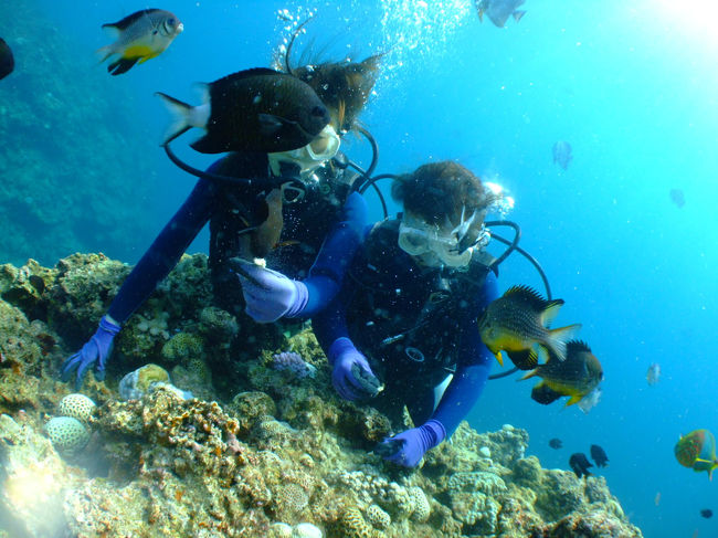 流されたくないので片手は岩を<br />片手は餌を。。。難しい(笑)