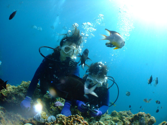 潜っている間だけ少し晴れてくれて<br />太陽光が本当に綺麗☆