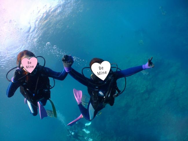 写真を撮るときは安全な場所で<br />まみちゃんが少し離れてとってくれます。<br /><br />が、何分初体験。。。<br />最初はバランスが上手くとれません(^_^;)