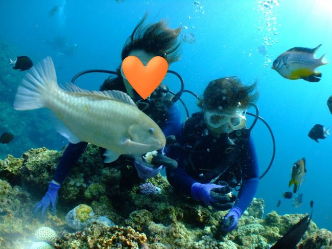 何故、私の所に来ないのーーーー(T_T)