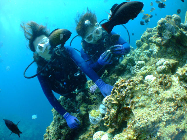 諦めて足で岩をつかむ作戦に出ました。<br />あ、でも足は伸ばした方が楽だよとまみちゃんが<br />言ってくれますが、この時ばかりは無理でした(>_<)<br /><br />だって餌ちぎりたいもん(笑)