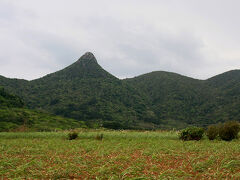 左手に見えてきた変わった形の山は野底マーペー。標高は282mで登山道も整備されているようです。今回弾丸旅行で来てしまいましたがやっぱりしっかり時間をとって思いつくがままに旅行したいですねこういうところは・・・今度来た時は晴れた空の下で登ってみたいものです。