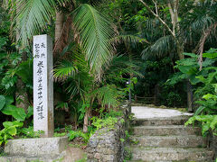 前にも来たことがあるので寄ろうかどうか考えましたが結局来てしまいました、米原のヤエヤマヤシ群落です。