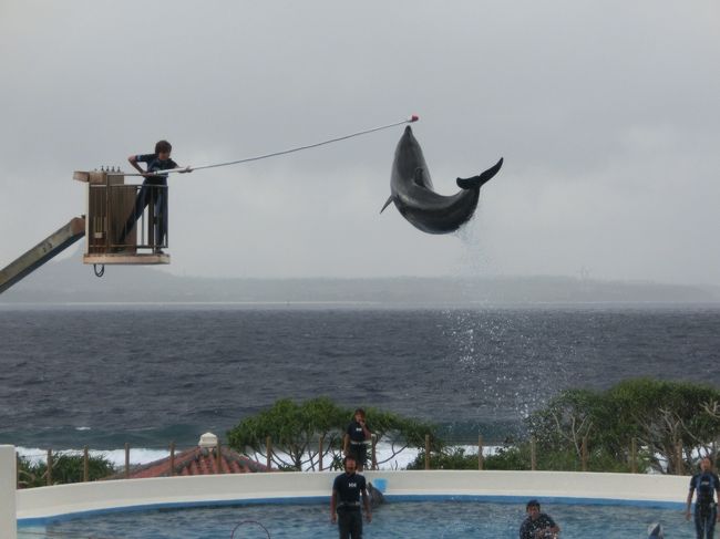 すごいすごい！！