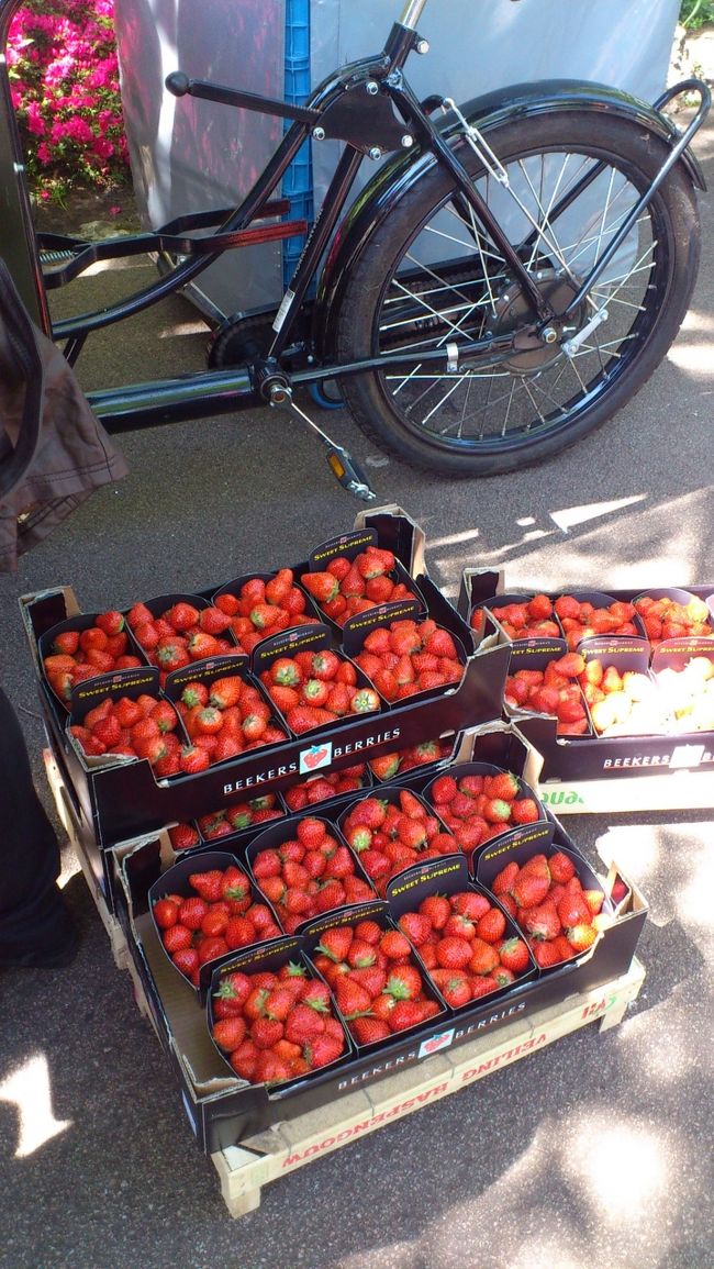 屋台でイチゴミルクが売っていました