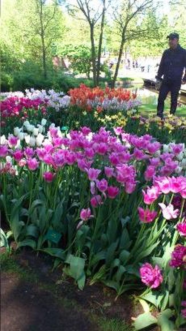 いきなり飛び込んできたお花畑＊<br />