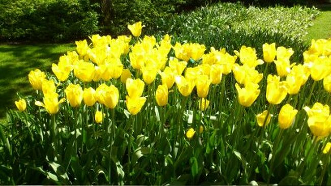 黄色が好きかも。