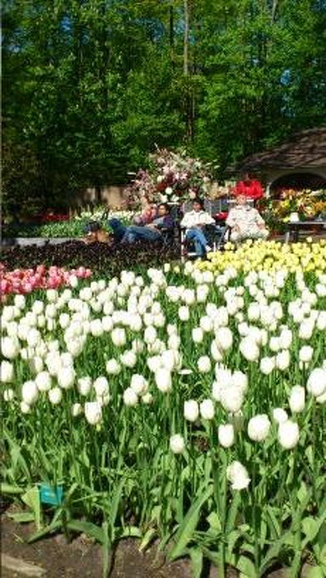 気持ちよさそうにお昼寝されてますね。