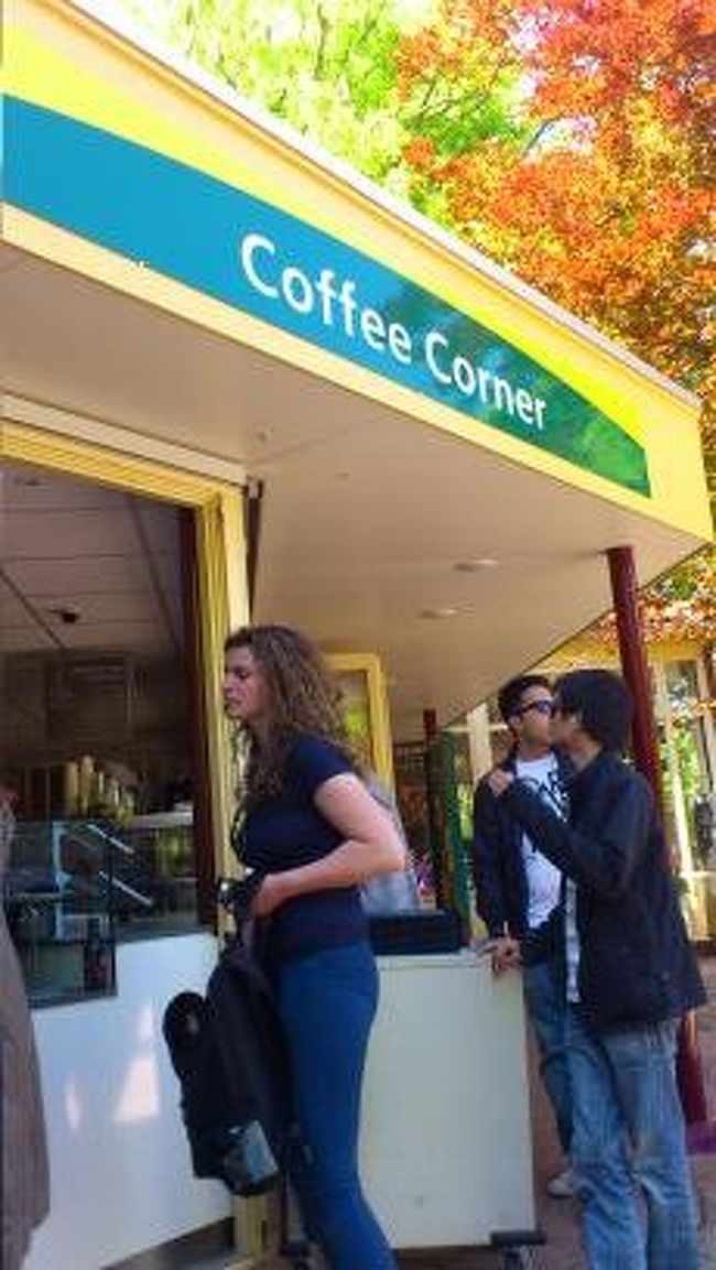 カフェでアップルパイを食べました☆