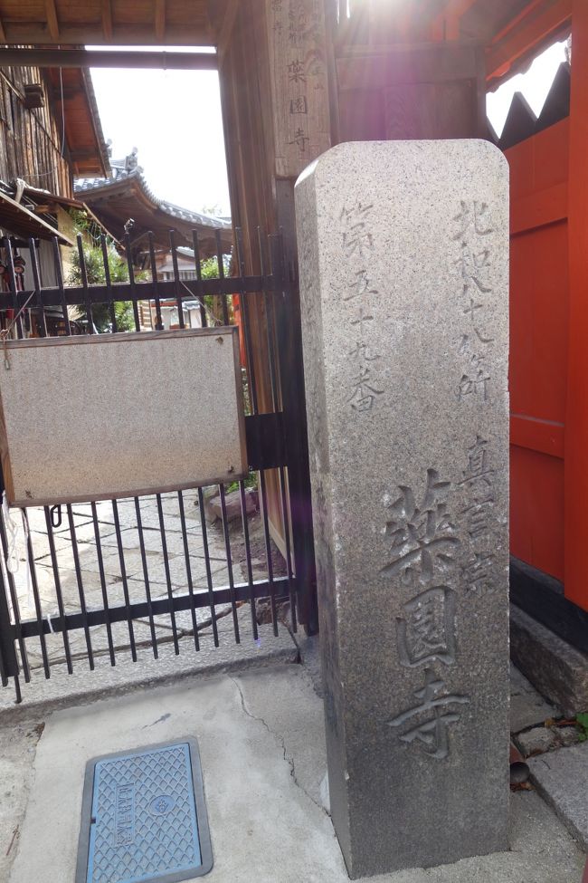 小さな小さな山門をくぐり、「ごめんくださ〜い」と声を掛けながら奥へ。本堂から何やら賑やかな話し声が聞こえてくる。先客がいらっしゃるようだ。