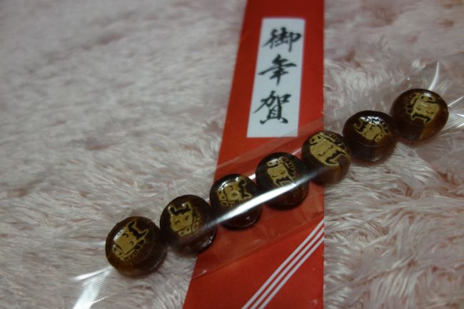 ほかにも、工事後、堂内での護摩ができなくなってしまったこと、改修の手法、地質調査のことなどいろいろと教えていただいたのだが、メモを取ってこなかったので忘れてしまった。不覚。<br /><br />いろいろお話を伺ったうえに、供物のアメまでいただいてしまった。<br /><br />念願の薬園寺。もっと仏像にお会いしたかったけれど、またいつかチャンスがあるだろう。<br /><br />とにかく良いお寺であった。<br /><br />さっ、次は、唐招提寺だ。